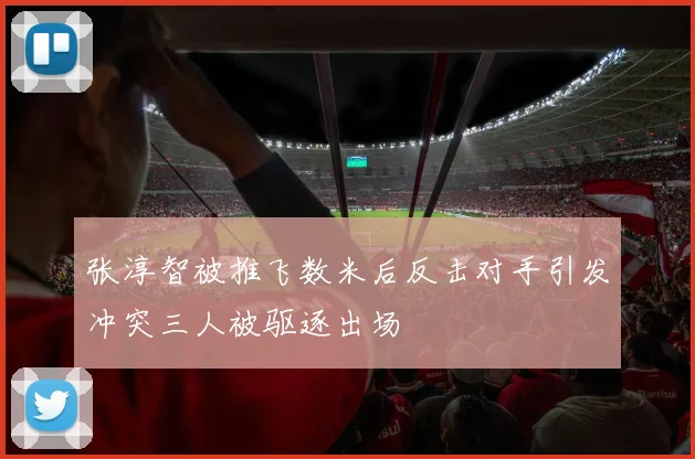 张淳智被推飞数米后反击对手引发冲突三人被驱逐出场