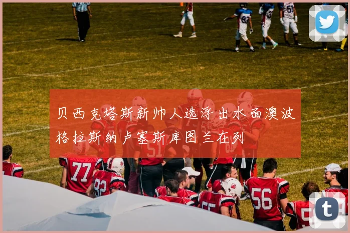 贝西克塔斯新帅人选浮出水面澳波格拉斯纳卢塞斯库图兰在列