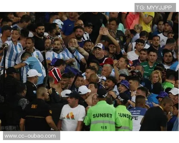 尼斯俱乐部发声谴责球迷暴力行为呼吁维护体育精神与安全